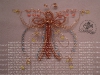 koralky-motyl